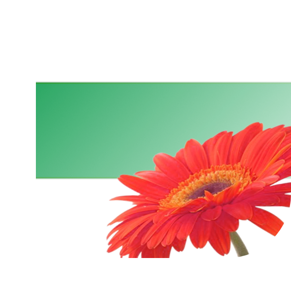 Bloemen bezorgen Groningen