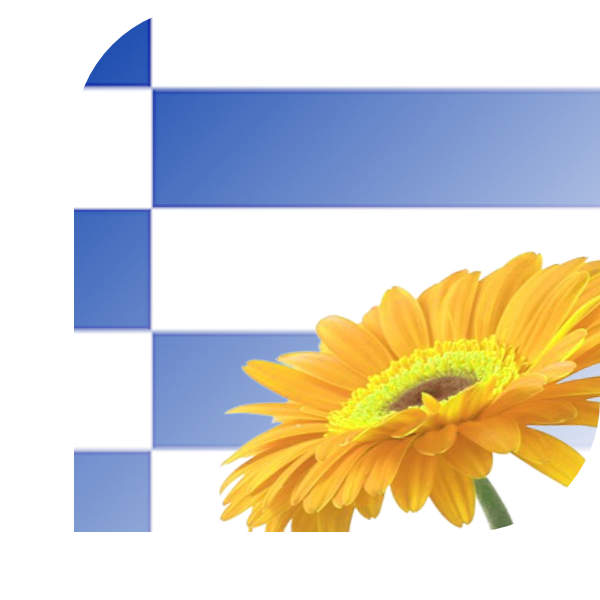 Bloemen bezorgen Sleen