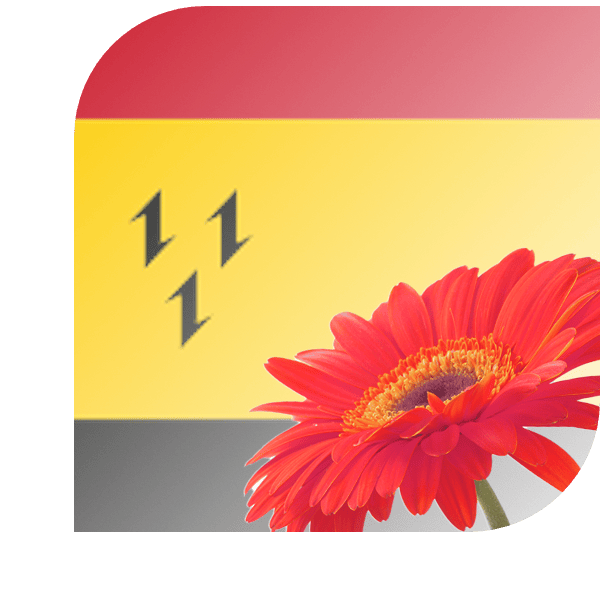 Bloemen bezorgen Purmerend