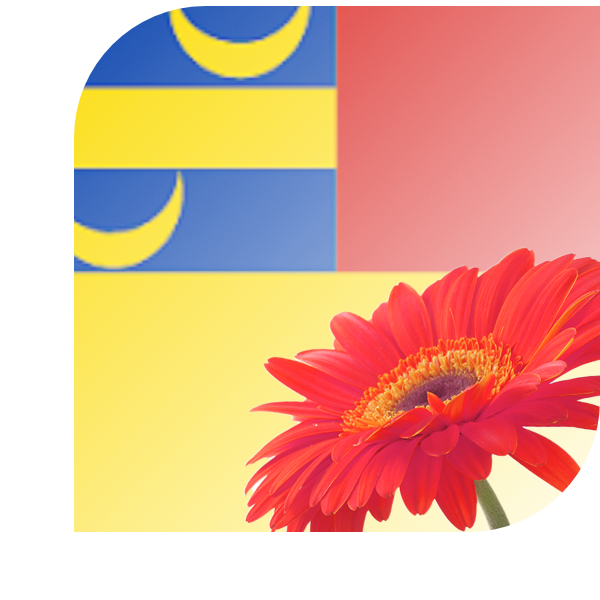 Bloemen bezorgen Woubrugge