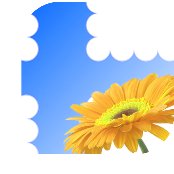 Bloemen bezorgen Wittem