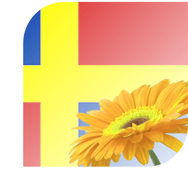 Bloemen bezorgen Wadenoijen