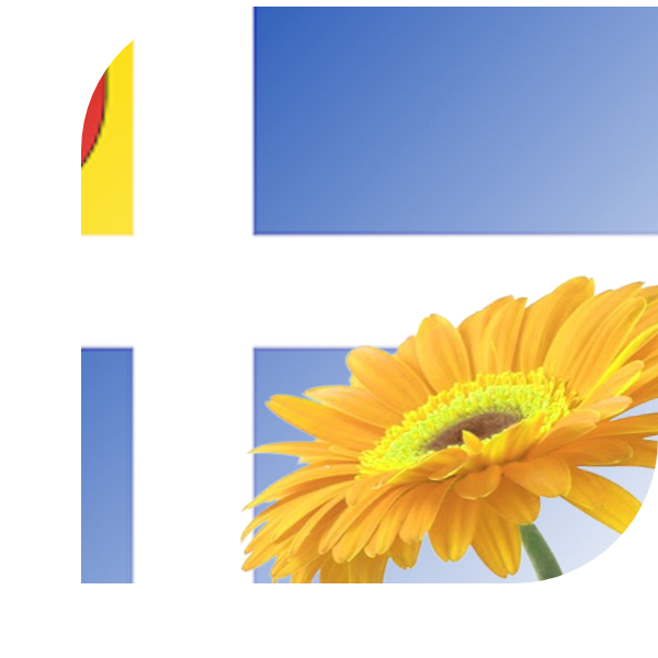 Bloemen Bezorgen Heel