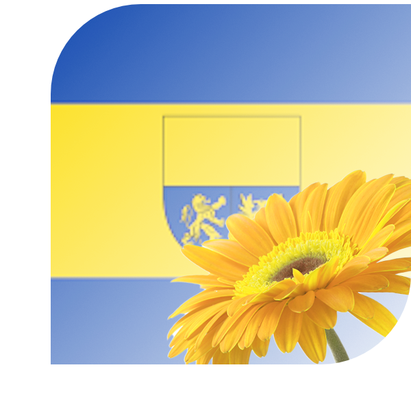 Bloemen bezorgen Den Ham