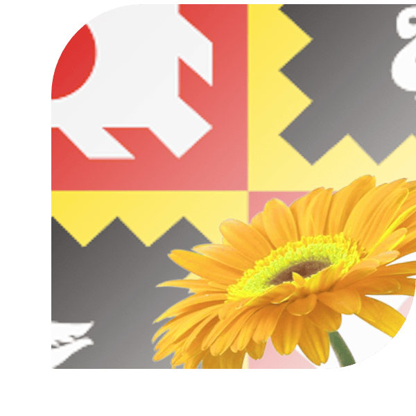 Bloemen Bezorgen Margraten
