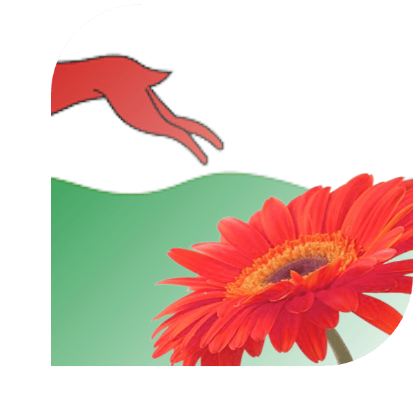 Bloemen Bezorgen Oudehaske