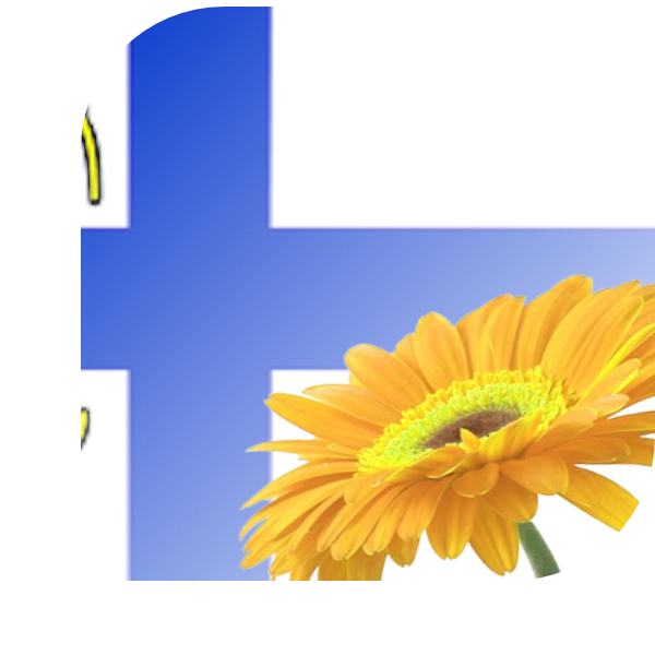 Bloemen bezorgen Wierden