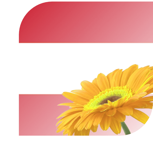 Bloemen bezorgen Gouda