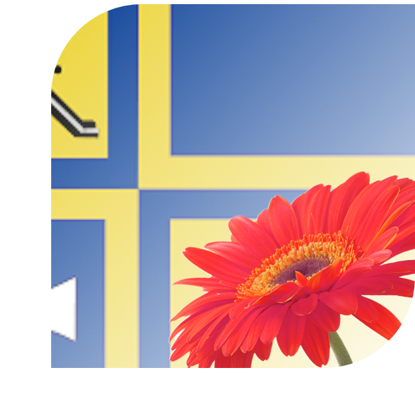 Bloemen bezorgen Vlagtwedde