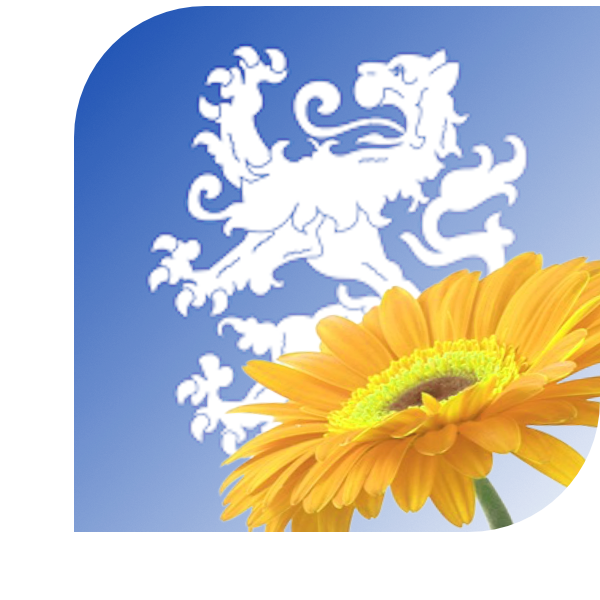 Bloemen Bezorgen Heemskerk