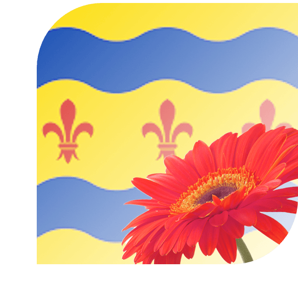 Bloemen Bezorgen Diemen