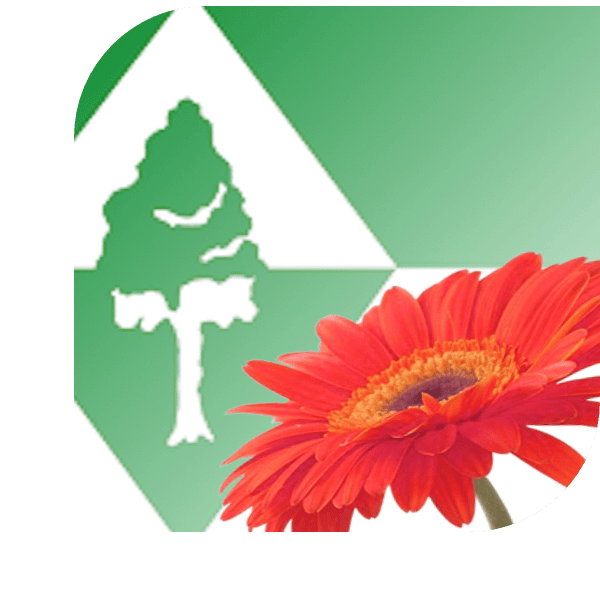Bloemen Bezorgen Oudenbosch