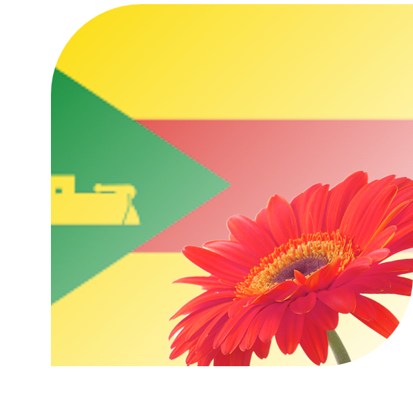 Bloemen bezorgen Haulerwijk