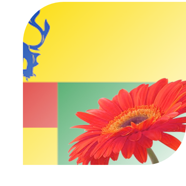 Bloemen bezorgen Udenhout
