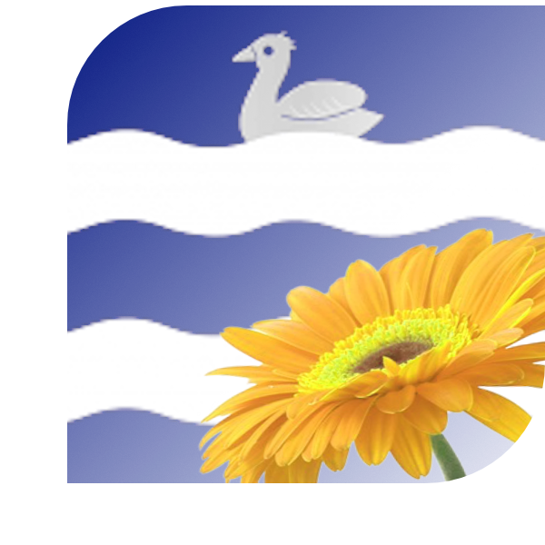 Bloemen bezorgen Ellemeet