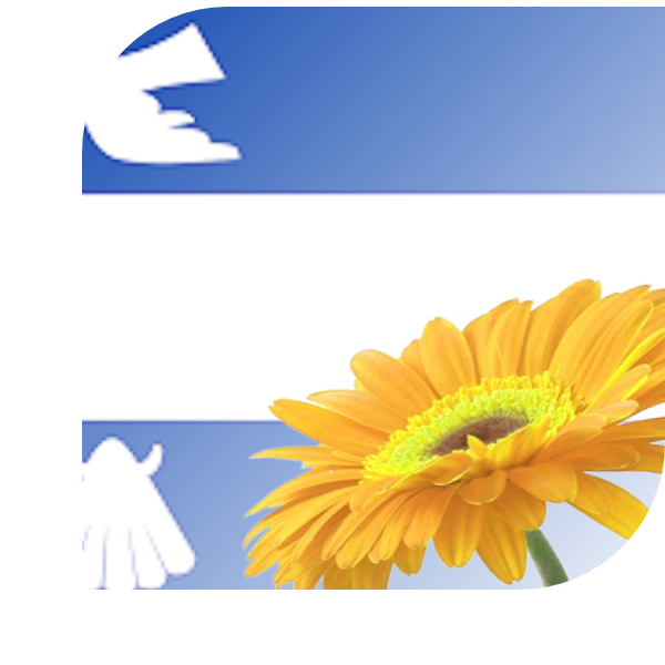 Bloemen Bezorgen Simpelveld