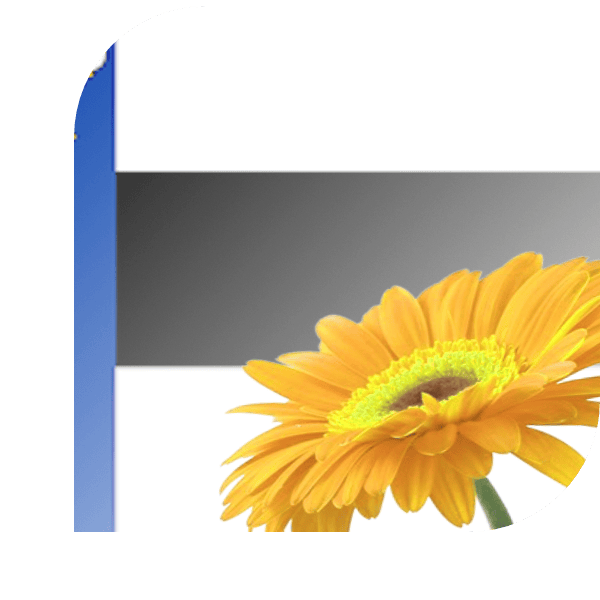 Bloemen Bezorgen Heerenveen