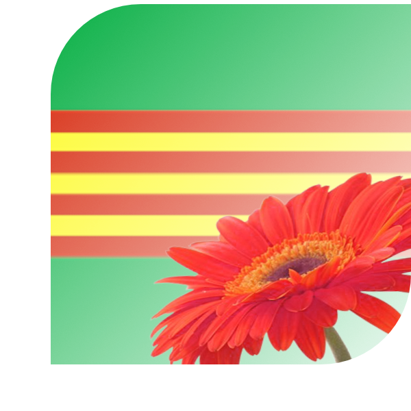 Bloemen Bezorgen Julianadorp
