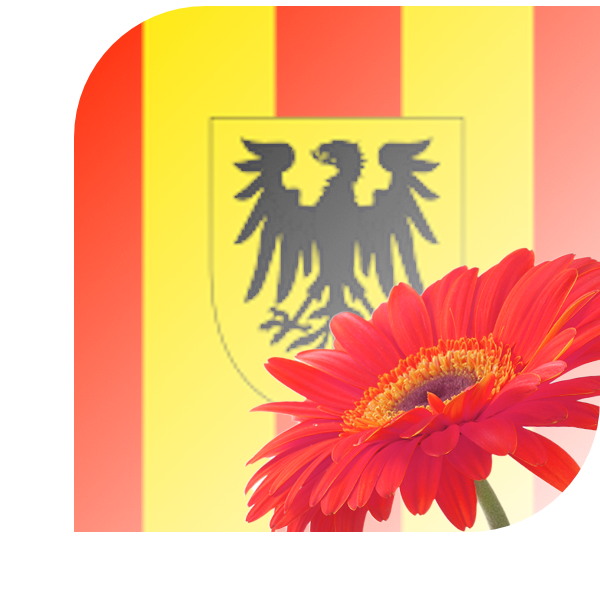 Bloemen Bezorgen Mechelen