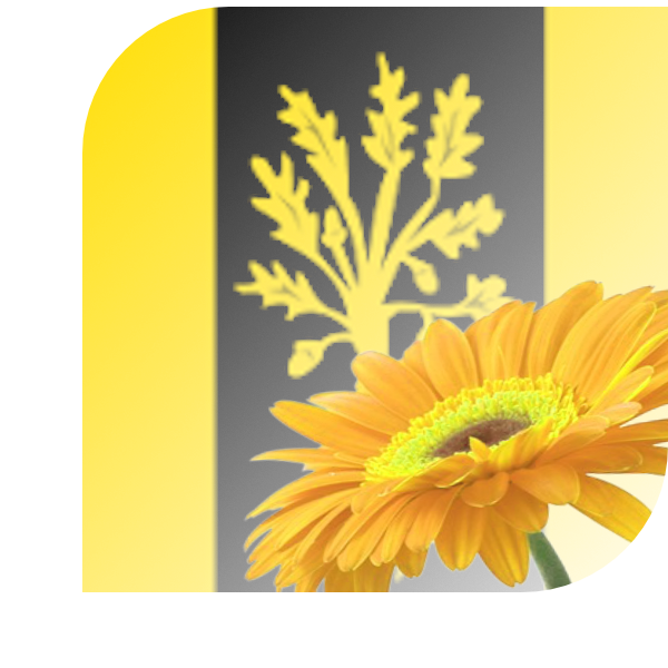 Bloemen bezorgen Waalwijk