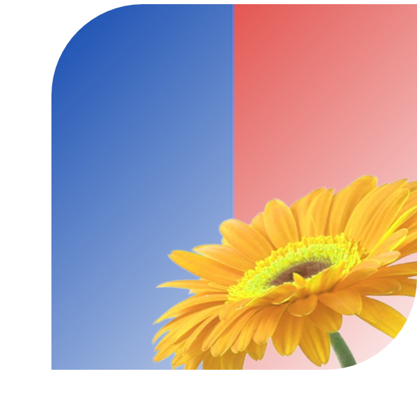 Bloemen Bezorgen Sint Joost