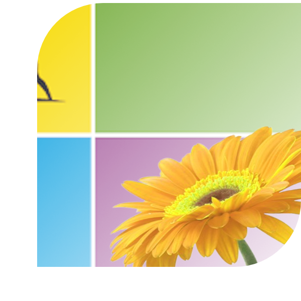 Bloemen bezorgen Uddel