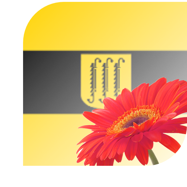 Bloemen bezorgen Zwijndrecht