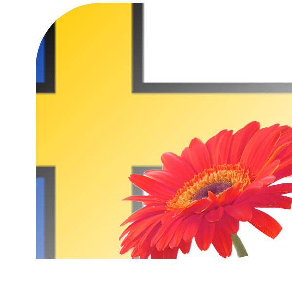 Bloemen bezorgen Bedum