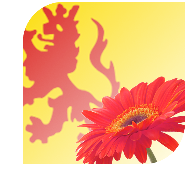 Bloemen bezorgen Callantsoog