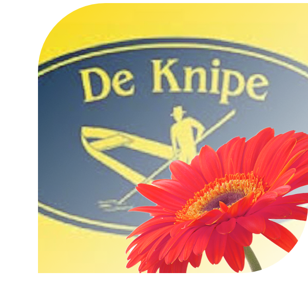 Bloemen bezorgen De Knipe