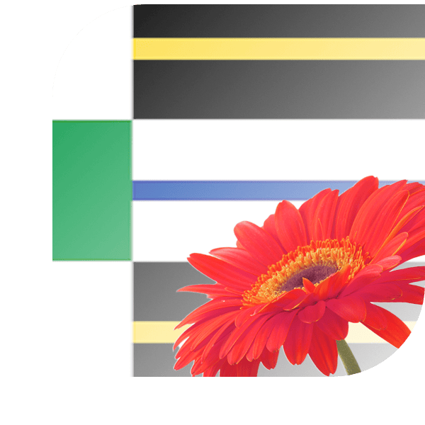 Bloemen bezorgen Stadskanaal