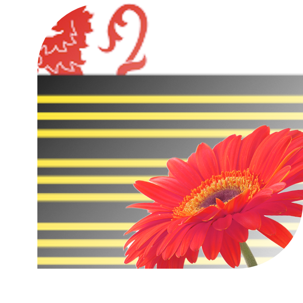 Bloemen bezorgen Eersel