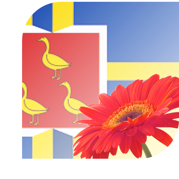 Bloemen bezorgen Wieringen