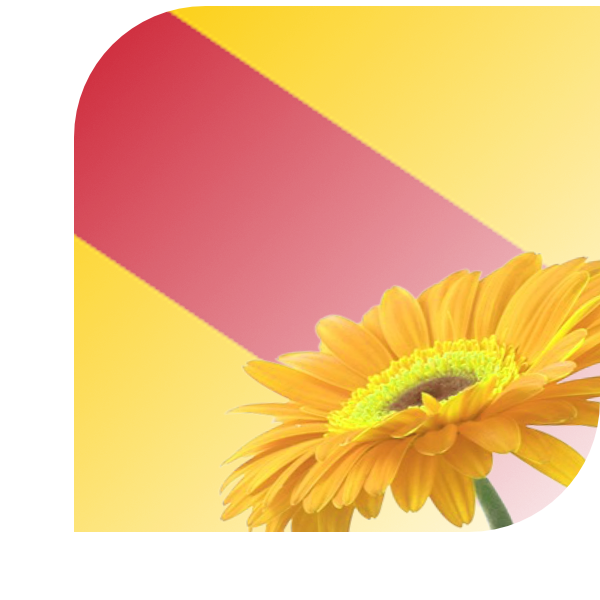 Bloemen bezorgen Ubbergen