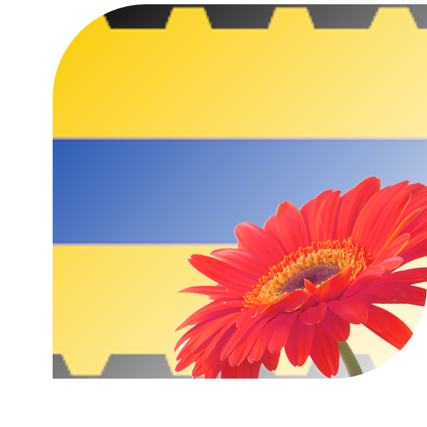 Bloemen bezorgen Veenendaal