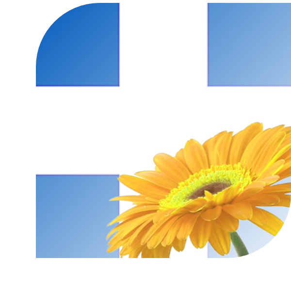 Bloemen bezorgen Zwolle