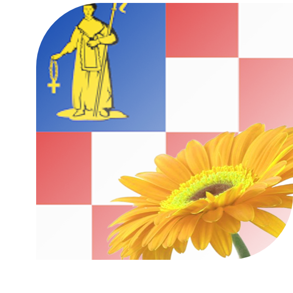 Bloemen bezorgen Bakel