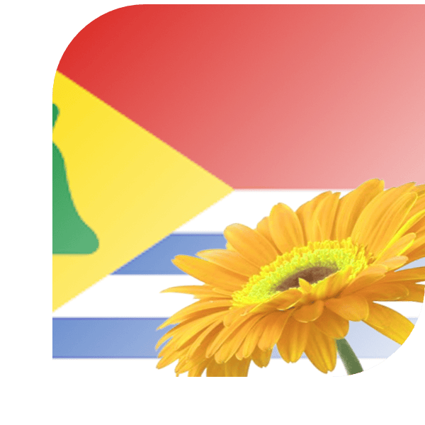 Bloemen Bezorgen Scharendijke