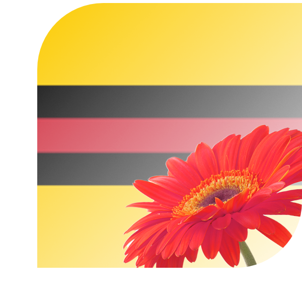 Bloemen bezorgen Woudenberg