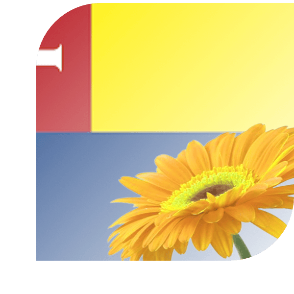 Bloemen Bezorgen Heiloo
