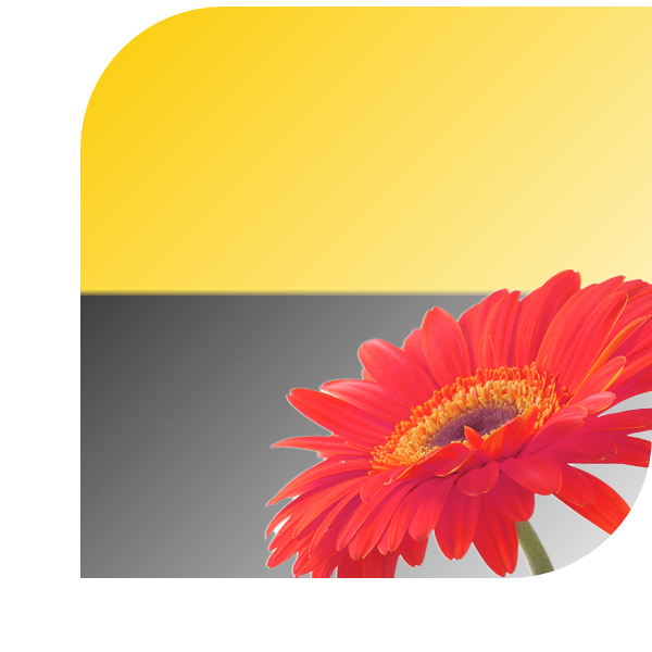 Bloemen bezorgen Tiel
