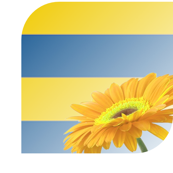 Bloemen bezorgen Franeker