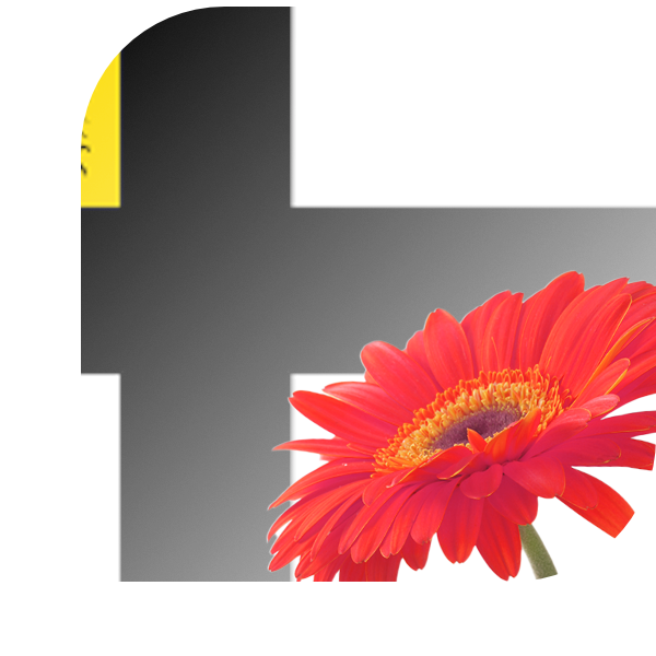 Bloemen bezorgen Gemert