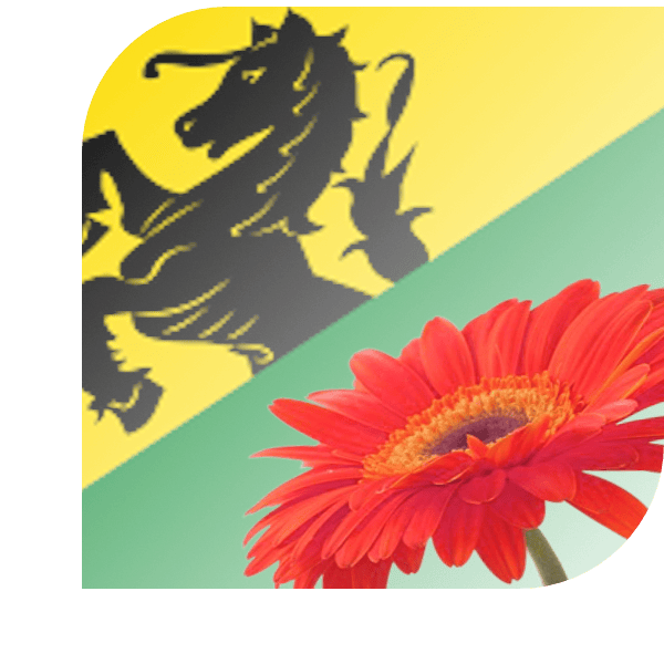Bloemen bezorgen Wirdum