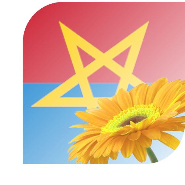 Bloemen bezorgen Haaksbergen