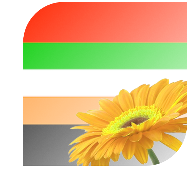 Bloemen bezorgen volendam
