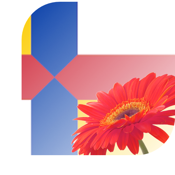 Bloemen Bezorgen Kapelle