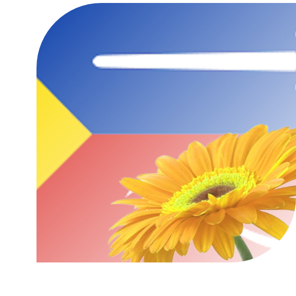 Bloemen Bezorgen Munstergeleen