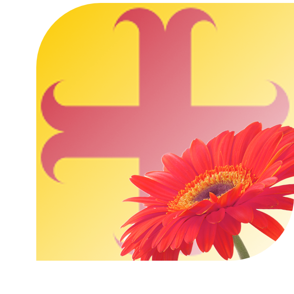 Bloemen Bezorgen Oegstgeest