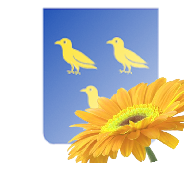 Bloemen bezorgen Waspik
